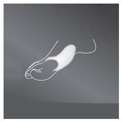 Бурсопротектор protect. BUNION CUSHION